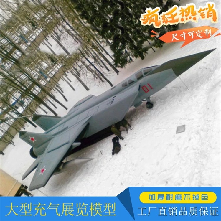 阜平充气飞机气模厂家